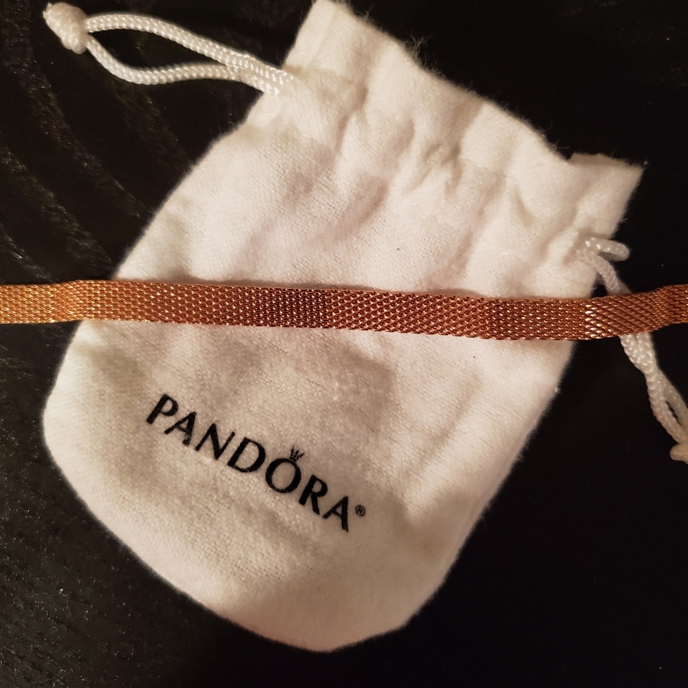 Pandora Bracelet